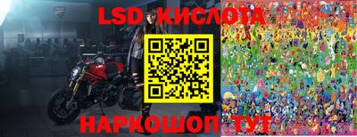 PSILOCYBIN Камышлов
