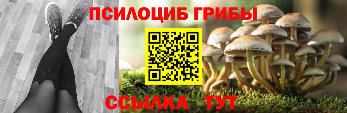 Галлюциногенные грибы ЛСД  Псилоцибиновые грибы мицелий  Кудымкар  Вход с VPN 